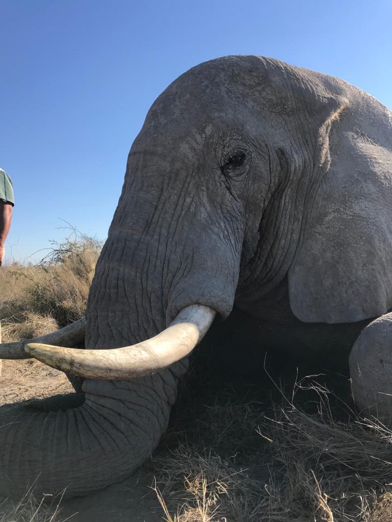 BOTSWANA HUNTING - Sabudawn Safaris